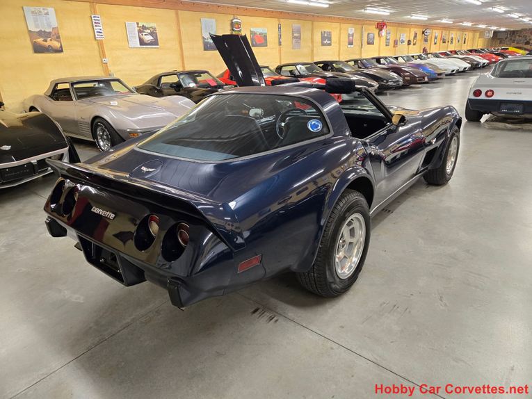 Chevrolet-Corvette-1979-Blue-Blue-4