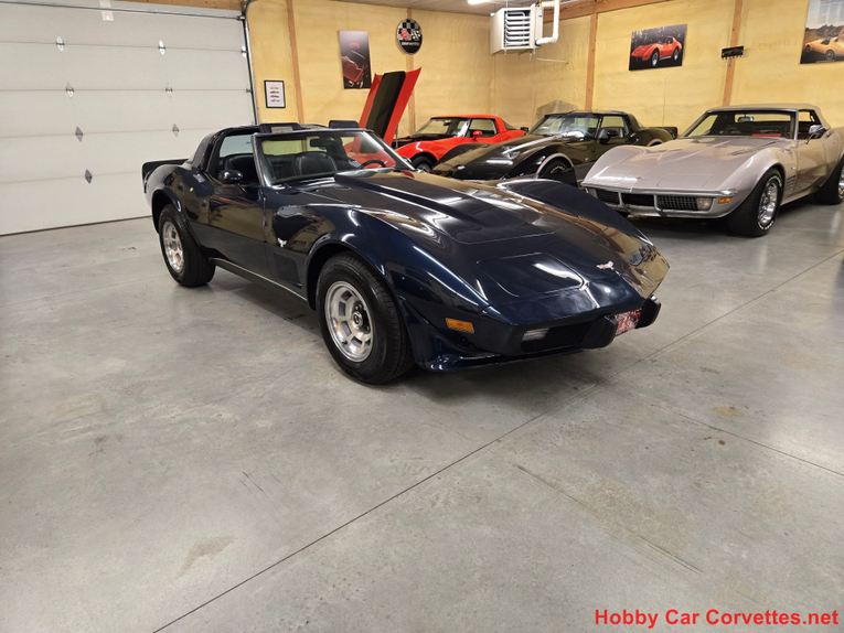 Chevrolet-Corvette-1979-Blue-Blue-45