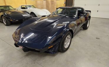 Chevrolet-Corvette-1979-Blue-Blue-47