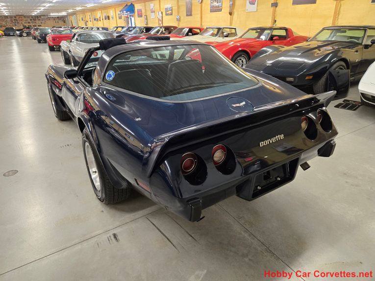 Chevrolet-Corvette-1979-Blue-Blue-6