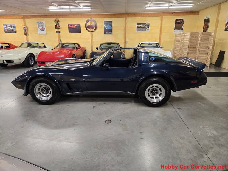 Chevrolet-Corvette-1979-Blue-Blue-7