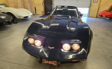 Chevrolet-Corvette-1979-Blue-Blue-9