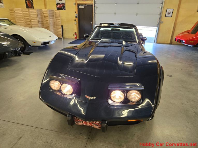 Chevrolet-Corvette-1979-Blue-Blue-9