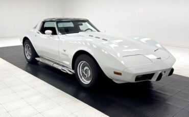 Chevrolet-Corvette-1979-Classic-White-Black-14