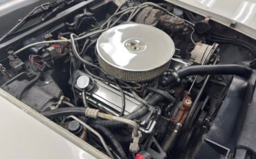 Chevrolet-Corvette-1979-Classic-White-Black-34
