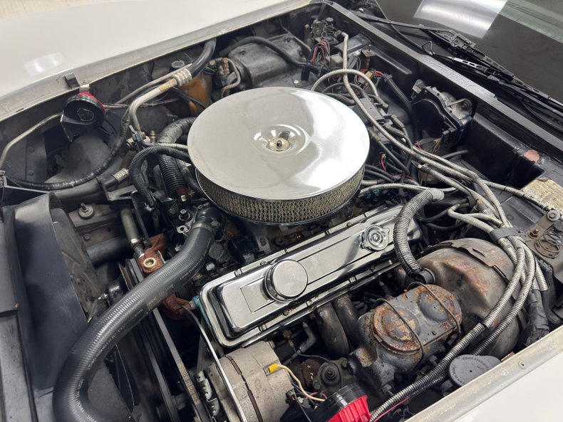 Chevrolet-Corvette-1979-Classic-White-Black-35