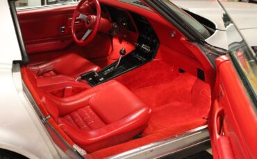 Chevrolet-Corvette-1979-Coupe-18
