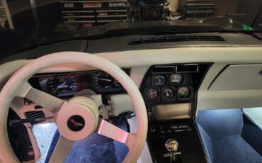 Chevrolet-Corvette-1979-Coupe-18