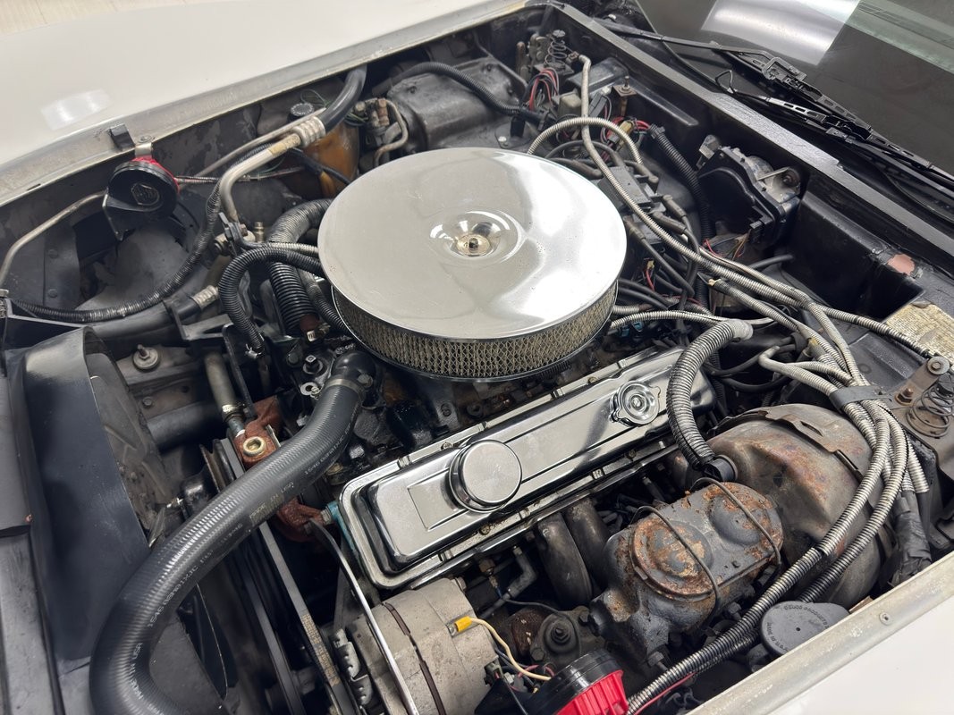 Chevrolet-Corvette-1979-Coupe-28
