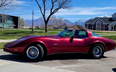 Chevrolet Corvette 1979 Coupe