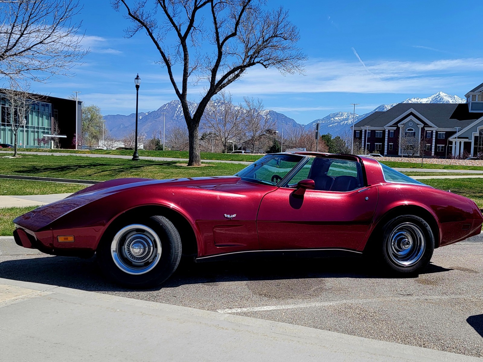 Chevrolet Corvette 1979 Coupe