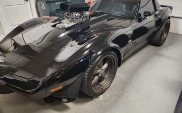 Chevrolet-Corvette-1979-Coupe-9