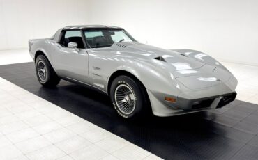 Chevrolet-Corvette-1979-Silver-Metallic-Blue-11
