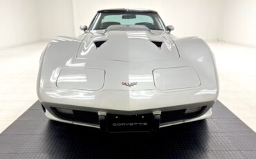 Chevrolet-Corvette-1979-Silver-Metallic-Blue-12