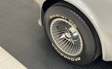 Chevrolet-Corvette-1979-Silver-Metallic-Blue-14