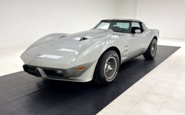 Chevrolet-Corvette-1979-Silver-Metallic-Blue-23