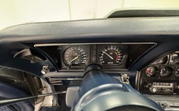 Chevrolet-Corvette-1979-Silver-Metallic-Blue-39