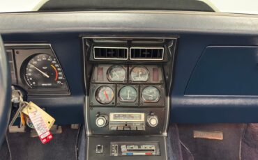Chevrolet-Corvette-1979-Silver-Metallic-Blue-41