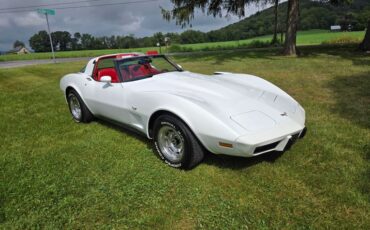 Chevrolet-Corvette-1979-White-Red-12