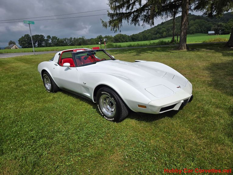 Chevrolet-Corvette-1979-White-Red-12