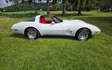 Chevrolet-Corvette-1979-White-Red-13