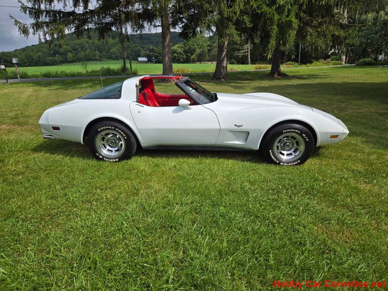 Chevrolet-Corvette-1979-White-Red-13