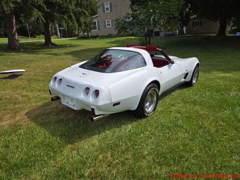 Chevrolet-Corvette-1979-White-Red-14