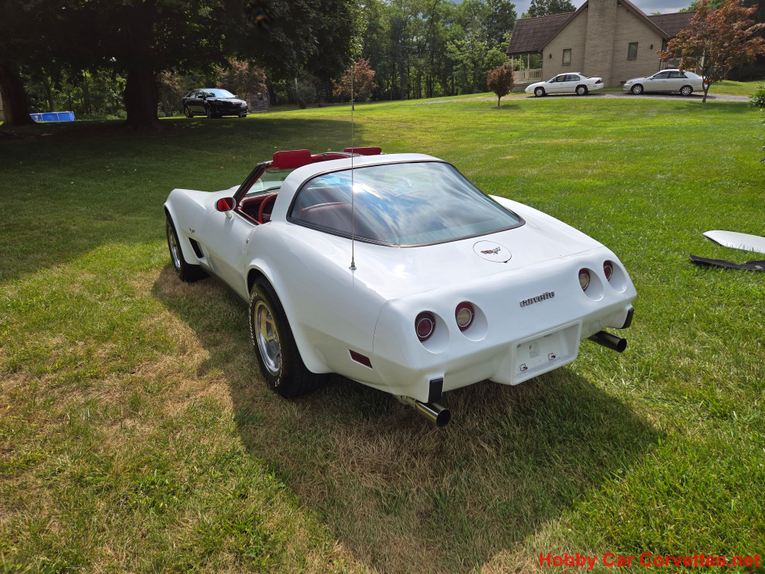 Chevrolet-Corvette-1979-White-Red-16