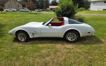 Chevrolet-Corvette-1979-White-Red-17
