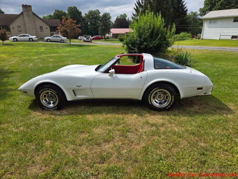 Chevrolet-Corvette-1979-White-Red-17