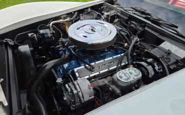 Chevrolet-Corvette-1979-White-Red-28