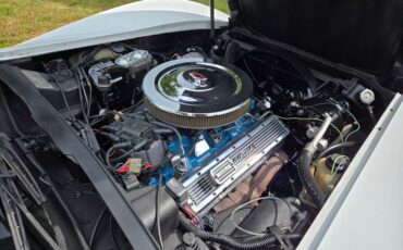 Chevrolet-Corvette-1979-White-Red-31