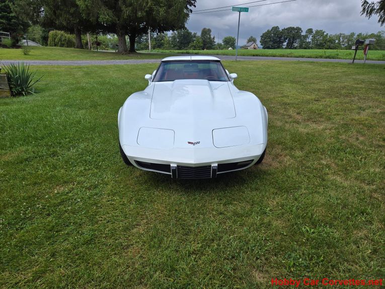 Chevrolet-Corvette-1979-White-Red-5