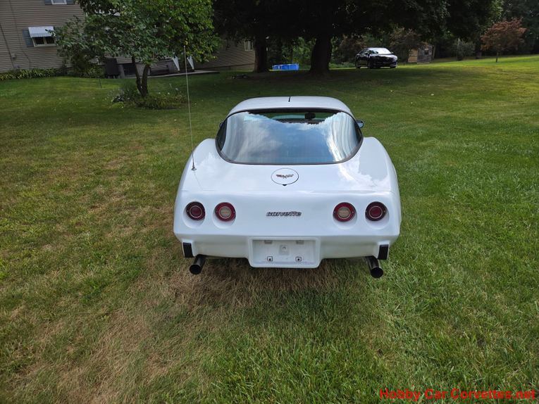 Chevrolet-Corvette-1979-White-Red-6