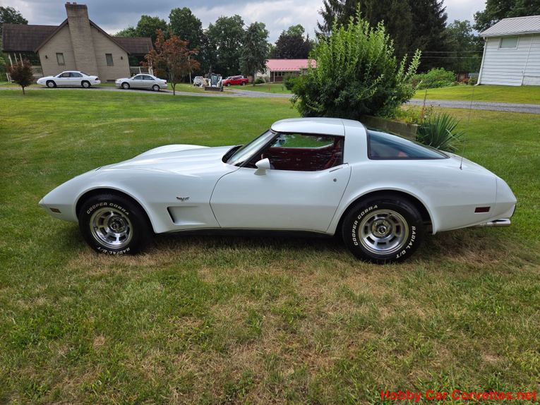 Chevrolet-Corvette-1979-White-Red-7