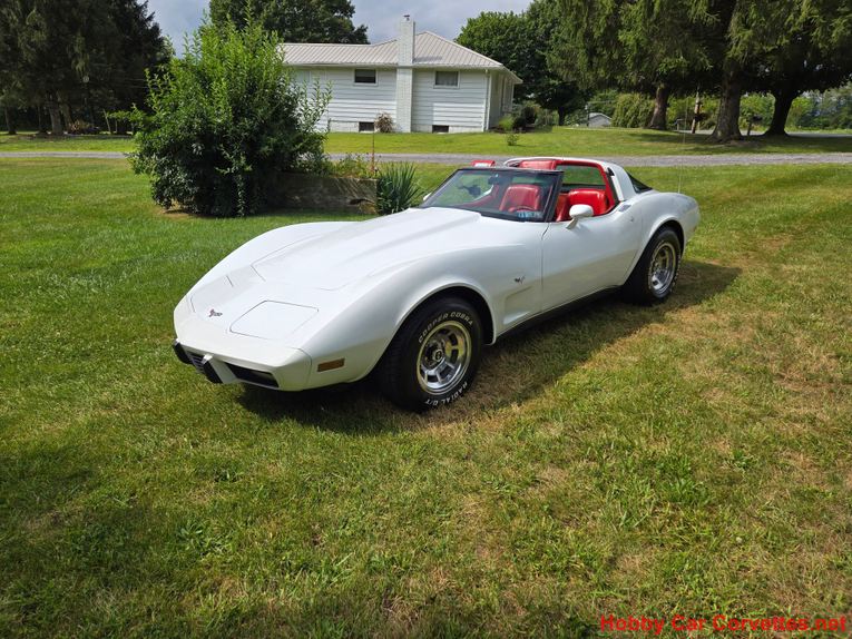 Chevrolet-Corvette-1979-White-Red-8