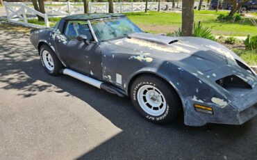 Chevrolet-Corvette-1980-35