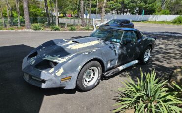 Chevrolet-Corvette-1980-36