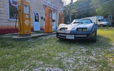 Chevrolet-Corvette-1980-4