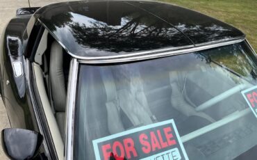Chevrolet-Corvette-1980-Black-Black-white-13