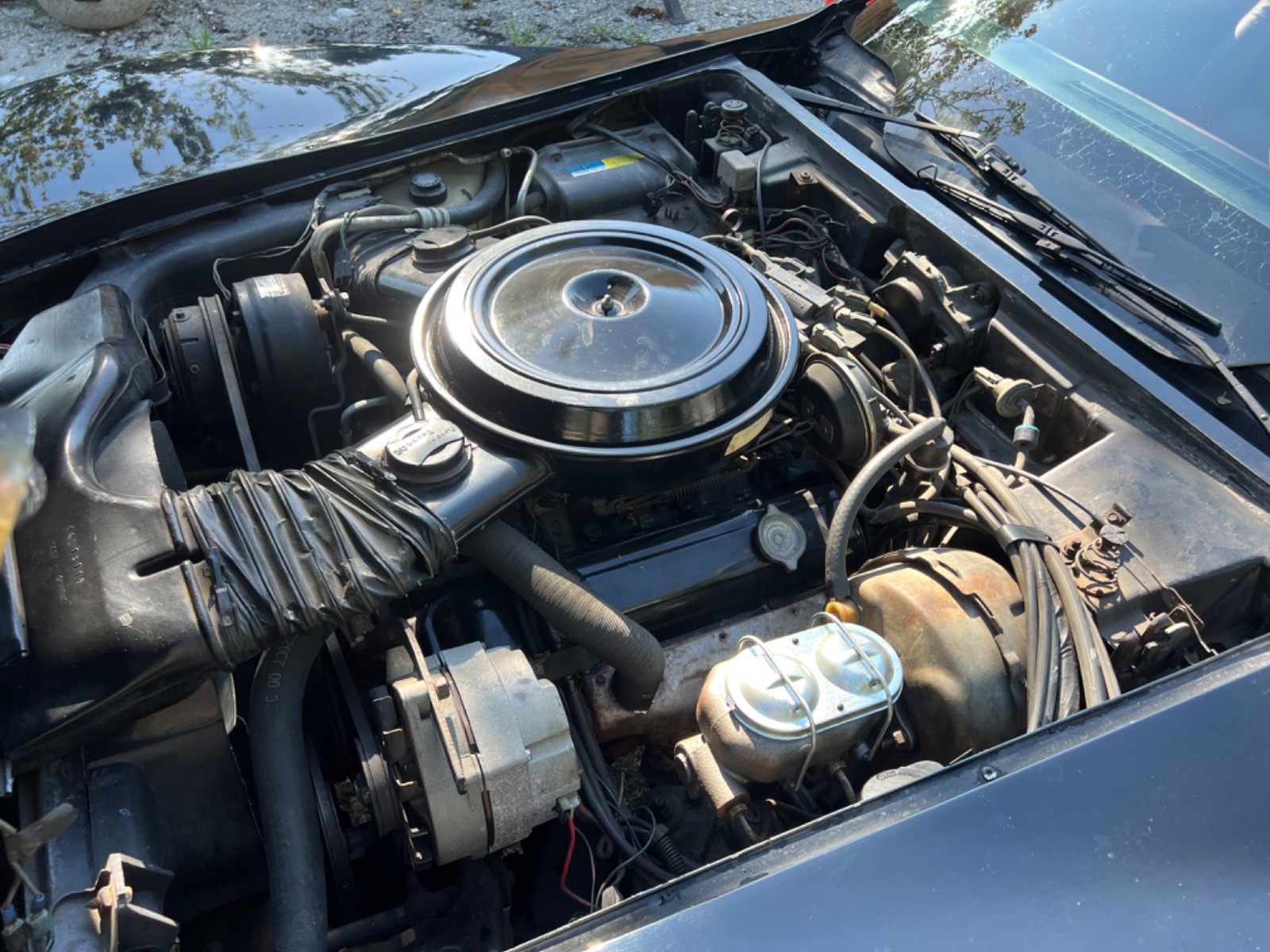 Chevrolet-Corvette-1980-Coupe-13