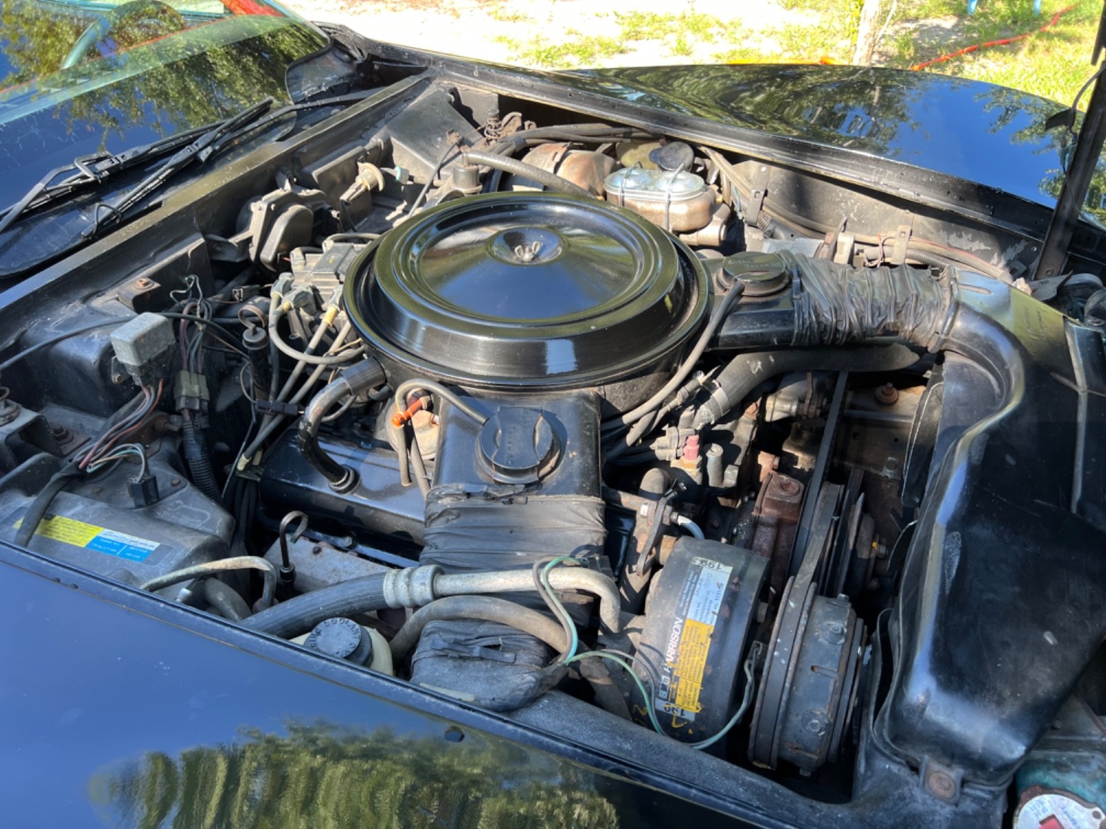 Chevrolet-Corvette-1980-Coupe-14