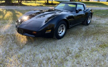 Chevrolet-Corvette-1980-Coupe-2