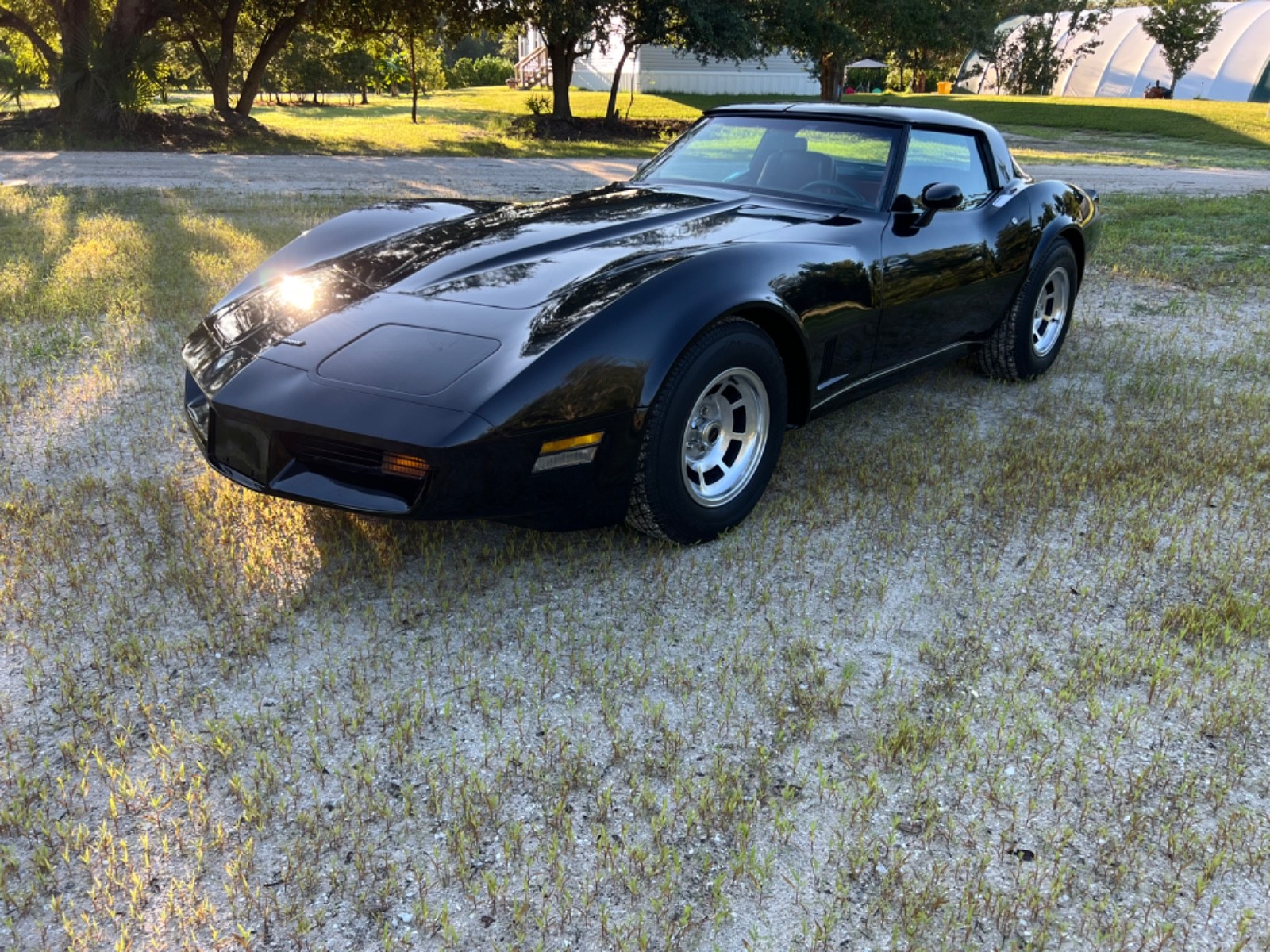 Chevrolet-Corvette-1980-Coupe-2