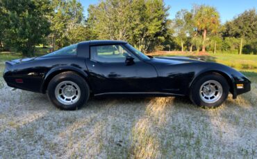Chevrolet-Corvette-1980-Coupe-3
