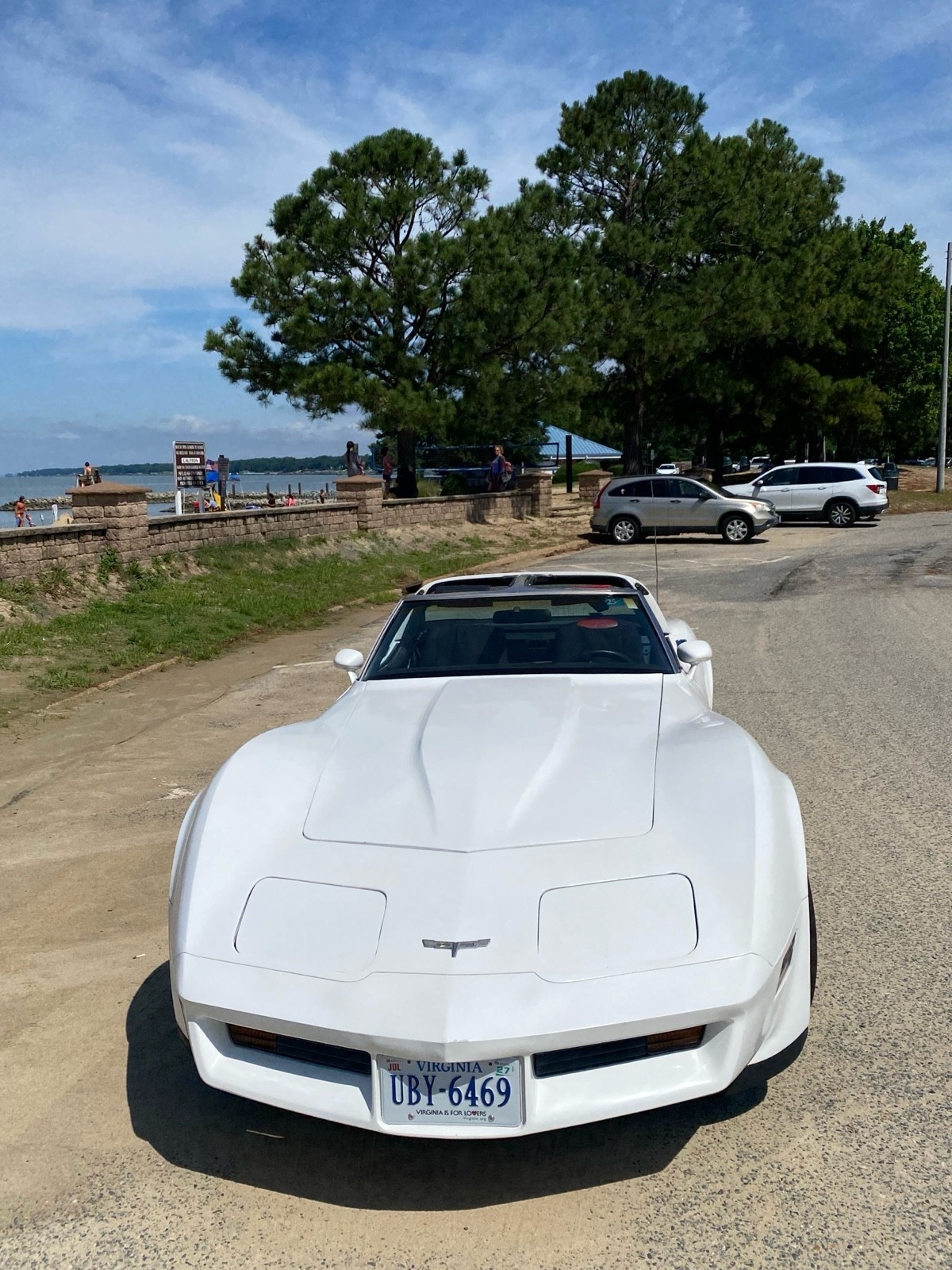 Chevrolet-Corvette-1980-Coupe-3