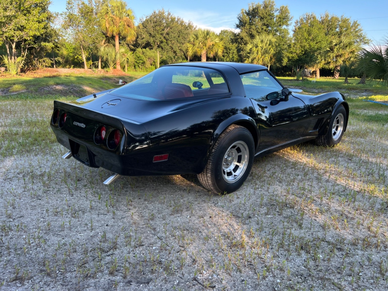 Chevrolet-Corvette-1980-Coupe-4