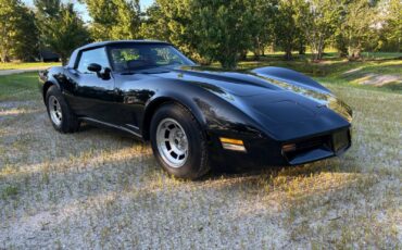 Chevrolet-Corvette-1980-Coupe-5