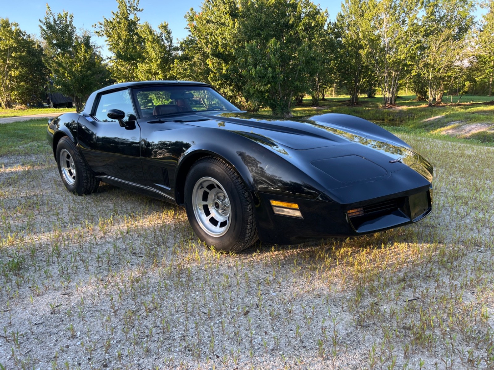 Chevrolet-Corvette-1980-Coupe-5