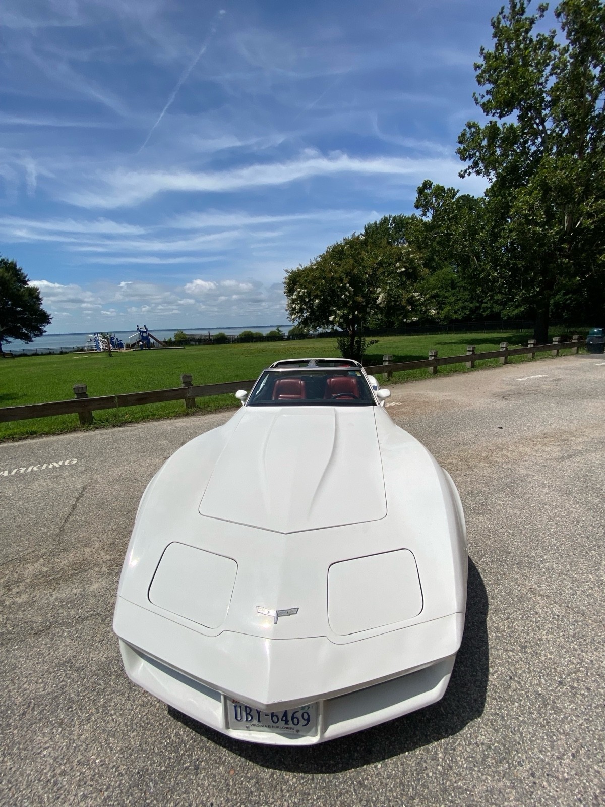 Chevrolet-Corvette-1980-Coupe-5